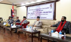 महेन्द्रनारायण निधि प्रजातान्त्रिक आन्दोलनको विशिष्ट पहिचान : प्रधानमन्त्री