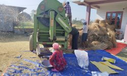 तोरी स्याहार्दै किसान