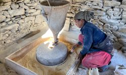 घट्टमा मकै पिसानी गरिँदै