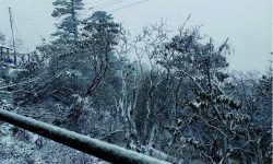 पाथीभरा क्षेत्रमा परेको हिमपात