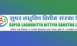 सुपर लघुवित्तका सञ्चालक निलम्बित