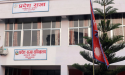 किसानले उत्पादन गरेको तरकारीले बजार मूल्य नपाउँदा आर्थिक सङ्कट