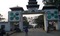 ६ महिनामा गड्डाचौकीबाट सात करोडको तरकारी आयात