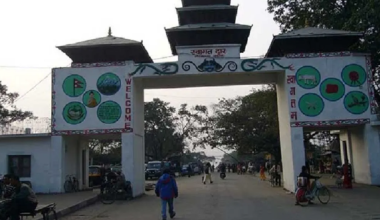 ६ महिनामा गड्डाचौकीबाट सात करोडको तरकारी आयात