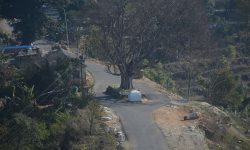 किन सुस्तायो भाइरल तनहुँसुर ?