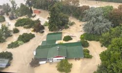 न्युजिल्याण्डमा चक्रवातबाट व्यापक क्षति