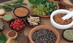 आयुर्वेद चिकित्सालयमा स्थायी कर्मचारी घट्न थालेपछि सेवा प्रवाहमा समस्या