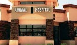 तनहुँमा नमूना पशुपंक्षी अस्पताल