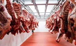 बुटवलमा पशु बधशाला सञ्चालनको तयारी