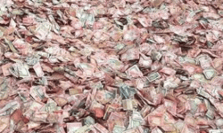 कालिका मन्दिरमा ४५ लाख भेटी संकलन