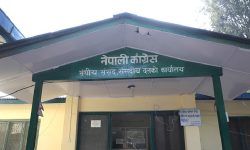 राष्ट्रियसभाको उपाध्यक्षमा उम्मेदवारी दिने कांग्रेसको निर्णय