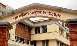 चिकित्सक अभावले धवलागिरि अस्पतालको सेवा प्रभावित