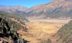 सिकारीका पर्खाइमा ढोरपाटन सिकार आरक्ष