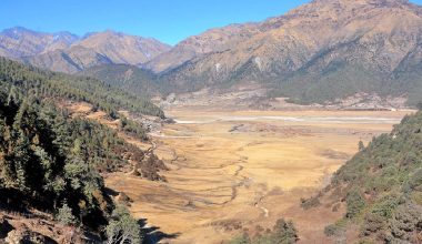 सिकारीका पर्खाइमा ढोरपाटन सिकार आरक्ष