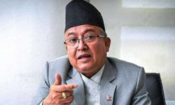 संवैधानिक आयोगहरूलाई बेग्लै कर्मचारी सेवा समूह आवश्यक : थपलिया