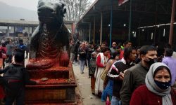 डोलेश्वरमा महाशिवरात्री