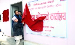 राष्ट्रपति निर्वाचनमा मतदाता कति ?