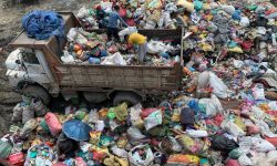 आशा जगायो फोहरलाई मोहर बनाउने परियोजनाले