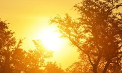 जलवायु परिवर्तन : विश्वमा गर्मीको रेकर्ड तोडिएको बेला यो नयाँ रिपोर्टले के भन्छ ?