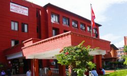 सेवा बन्द गरेर चिकित्सक आन्दोलनमा, उपचार सेवामा फर्किन स्वास्थ्य मन्त्रालयको अपिल