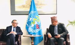 स्वास्थ्य मन्त्री गिरी र डब्लुएचओका महानिर्देशकबीच  भेटवार्ता