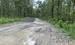 रुख काट्न अनुमति नदिँदा सडक अधुरै