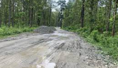 रुख काट्न अनुमति नदिँदा सडक अधुरै