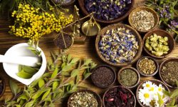 मासिँदै गए सिन्धुलीमा जडीबुटी