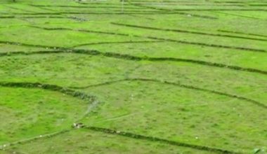 महायज्ञमा साढे चार करोड र ३७ कट्ठा जग्गा दान