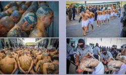 एल साल्भाडोरको ‘मेगा-जेल’ मा ट्याटू खोपाएका हजारौं कैदी