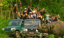 नवलपुरबाट निकुञ्जमा सफारीको अनुमतिले पर्यटकको संख्यामा वृद्धि