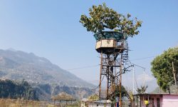 रूखमाथि बनाइएको रेष्टुराँको कटेज !