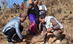 ओखरको बिरुवा रोप्दै मन्त्री चौधरी