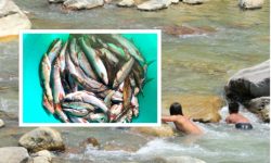 संकटमा छन् झलनाथ र चित्रबहादुरले सम्झिएका असला