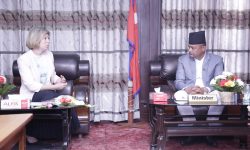 स्वास्थ्यमन्त्री गिरीसँग बेलायतका राजदूतको शिष्टाचार भेट