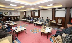 प्रधानमन्त्री र दलका प्रमुख सचेतकको छलफल जारी