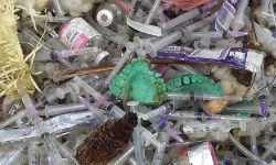 बञ्चरेडाँडा अस्पतालजन्य फोहर फाल्नेलाई ५० हजार जरिवाना