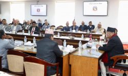 विदाहरु धेरै भए, पुनर्विचार आवश्यक छ : प्रधानमन्त्री