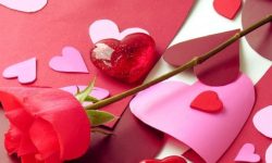 आज प्रणय दिवस : विश्वभर प्रेम साटासाट गरी मनाइँदै