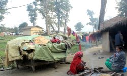 राजी समुदायको पुर्ख्यौली पेसा ओझेलमा