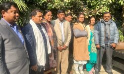 ‘हार्नेहरुले हो, आत्मसमर्पण गर्ने !’