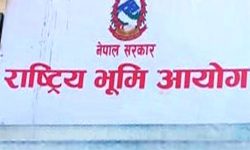 भूमि आयोगमा चार सय बढीको निवेदन