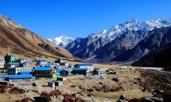 रसुवाको संस्कृति देखाउन सांस्कृतिक समूह