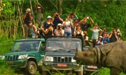 वन्यजन्तु हेर्न जिप सफारी