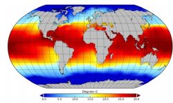 विश्वको समुद्री ताप उच्च विन्दुमा