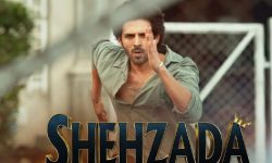 पठानका कारण सर्‍यो शहजादा