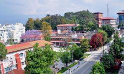 आजदेखि सिंहदरबारमा भाडाका गाडी प्रवेश गर्न पाउने