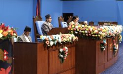 संविधान कार्यान्वयनसँगै राजनीतिक स्थायित्व कायम : राष्ट्रपति