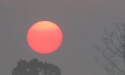 लालझाडी गाउँपालिकाको कञ्जमा बुधबार बिहान देखिएको सुर्याेदय !