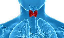 जिपी कोइराला अस्पतालमा थाइराइड परीक्षण सुरु